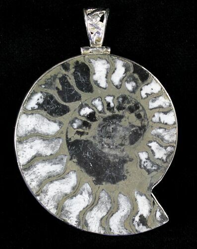 Large Pyritized Ammonite Fossil Pendant - Sterling Silver #20997